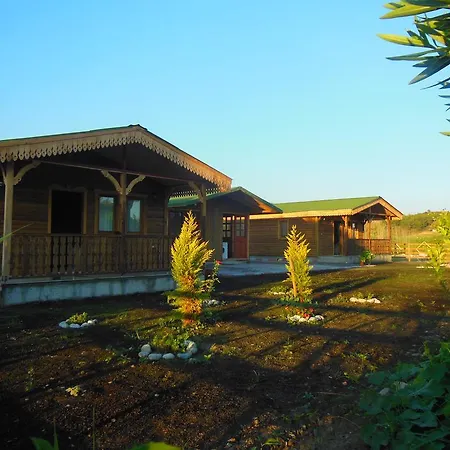度假居 Holidayhome